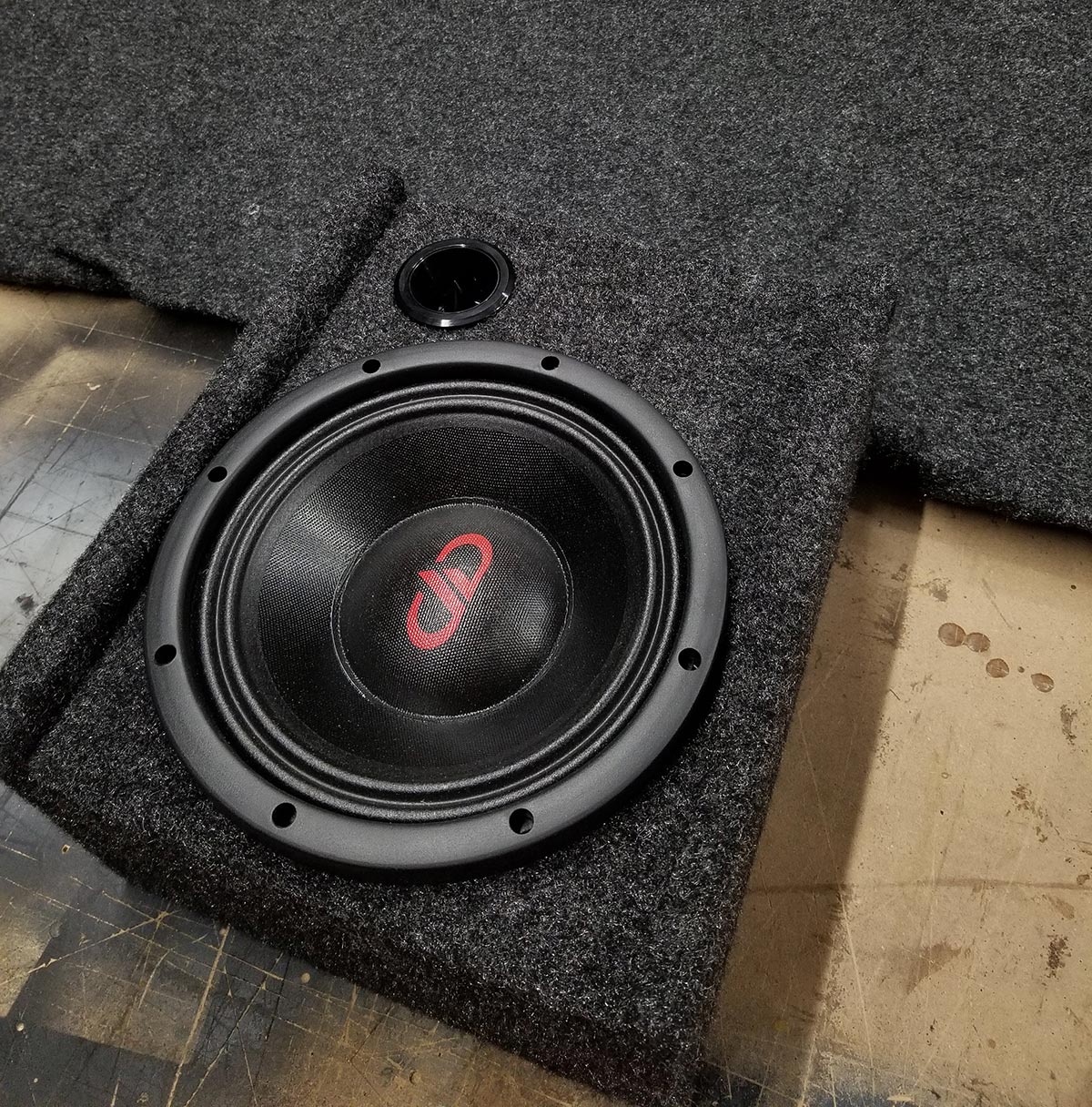 Photo of DD Speakers in custom enclosure in Shazam's shop